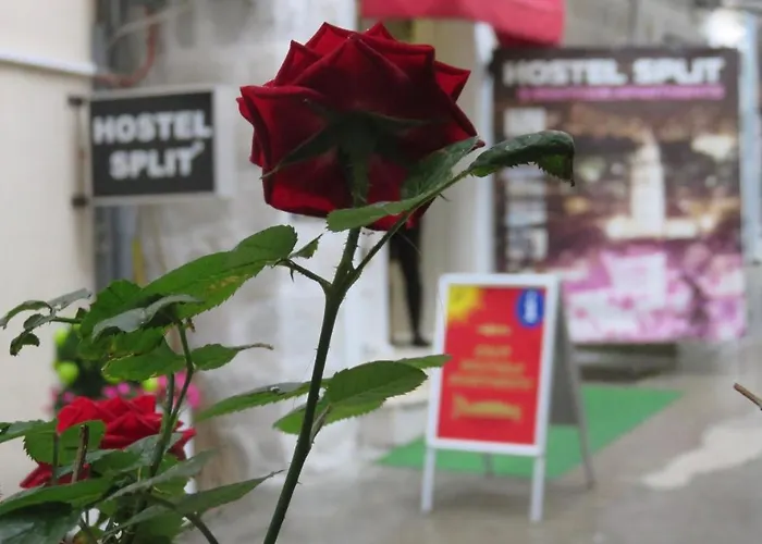 ホステル ホステル スプリト *